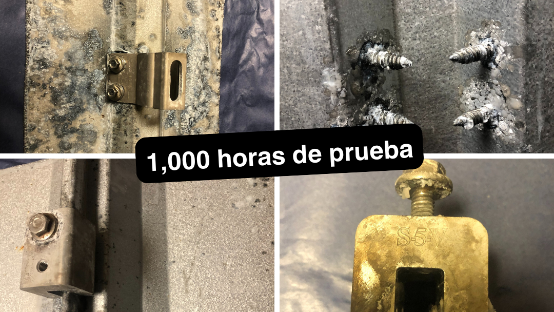 1000 horas testing