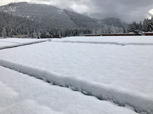 Blank of snow S-5.jpg