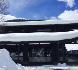 snowstops on a metal roof